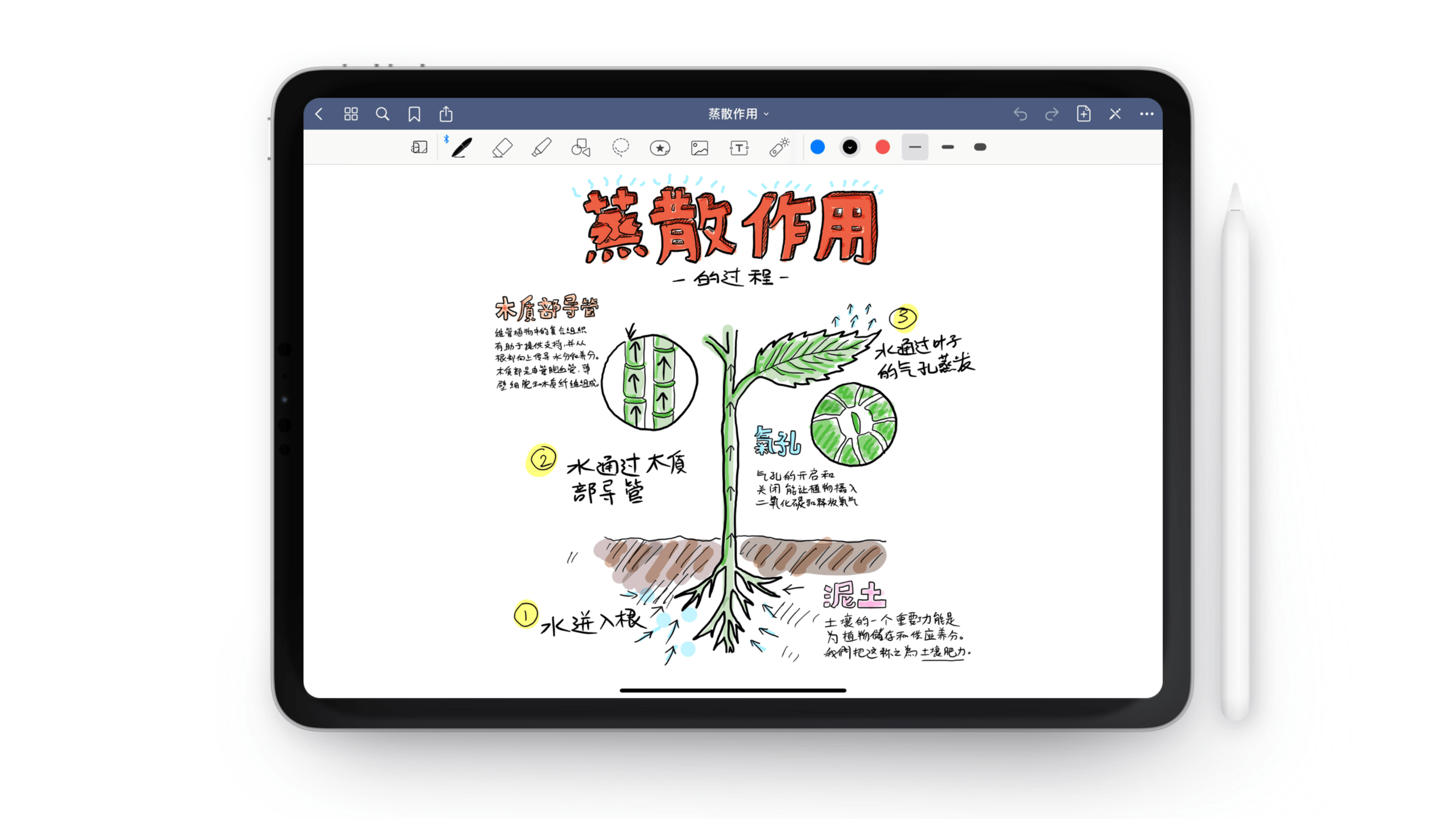 App Store 降价 —— GoodNotes 5