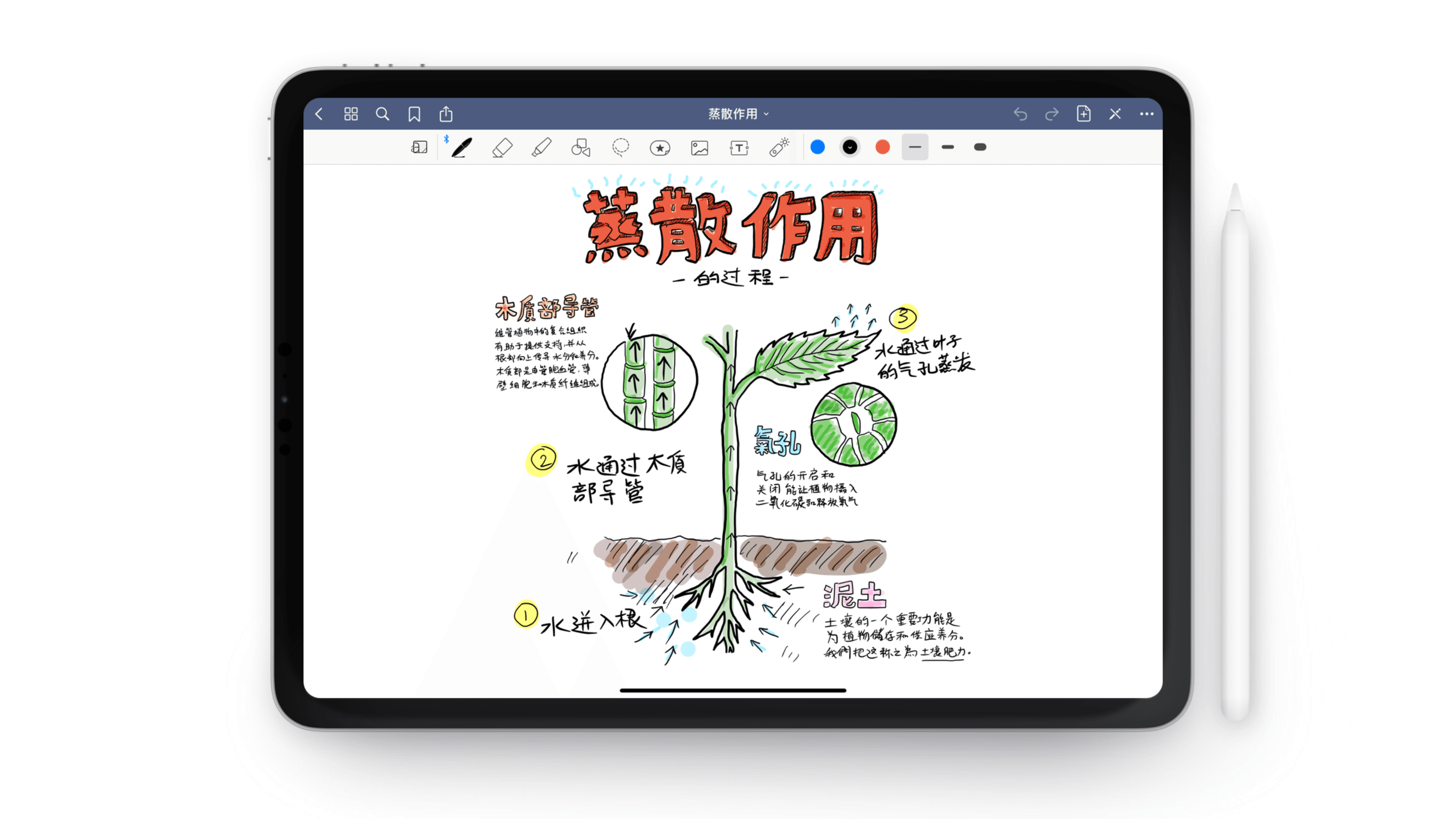App Store 降价 —— GoodNotes 5